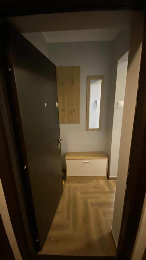 Dacia Apartment Timișoara Zewnętrze zdjęcie