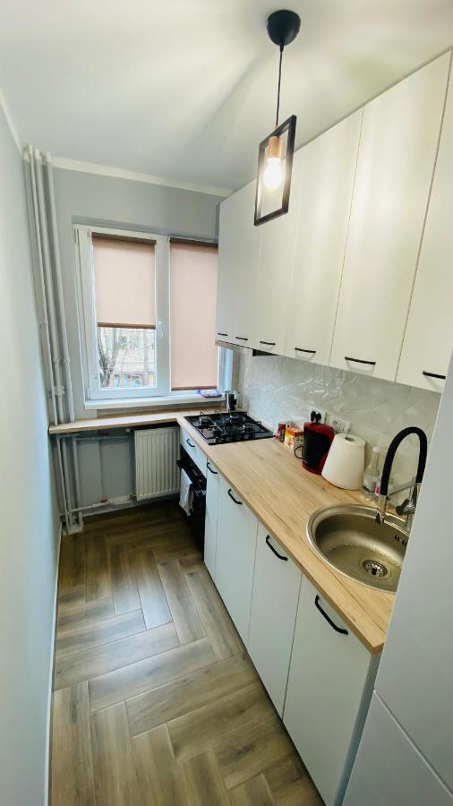 Dacia Apartment Timișoara Zewnętrze zdjęcie