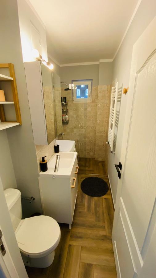 Dacia Apartment Timișoara Zewnętrze zdjęcie