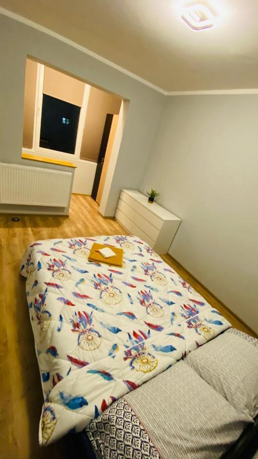 Dacia Apartment Timișoara Zewnętrze zdjęcie